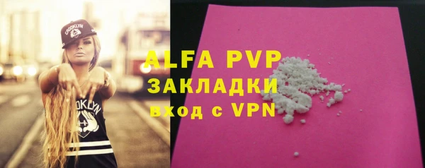 сатива Армянск