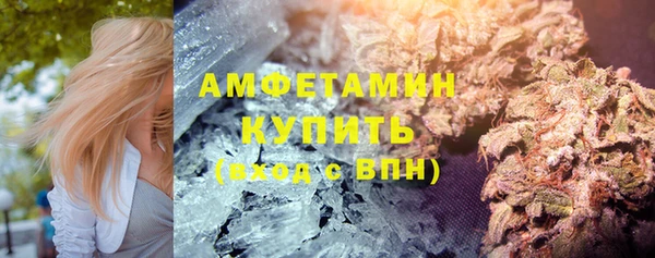 сатива Армянск