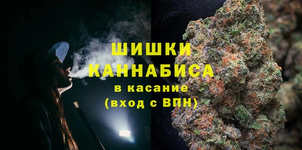 дурь Алзамай