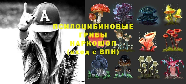 сатива Армянск
