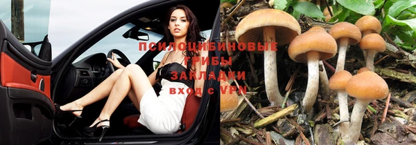 дмт Аркадак