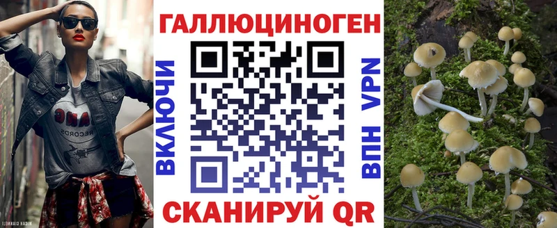 где купить   Арск  Галлюциногенные грибы Magic Shrooms 